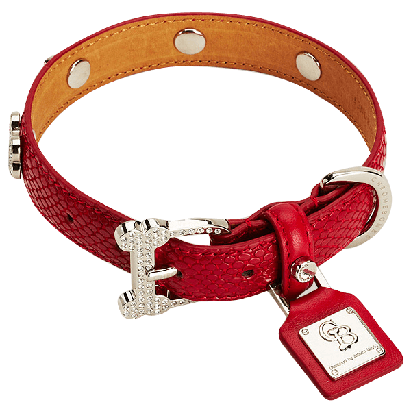 Women’s Casual Belt